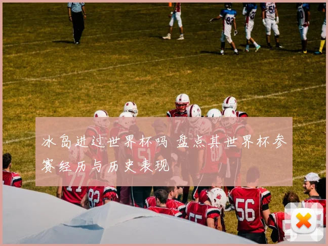 冰岛进过世界杯吗 盘点其世界杯参赛经历与历史表现